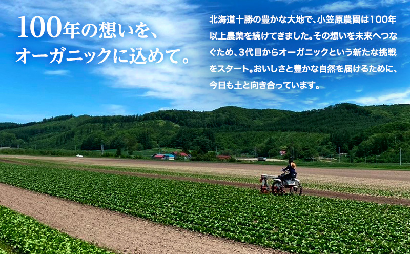 小笠原農園の有機野菜 3種詰合せ（とうや1.5kg・にんじん1kg・リーキ3kg）北海道 十勝 幕別《2026年秋出荷先行予約》【 野菜 芋 じゃがいも にんじん 人参 ねぎ ネギ セット 野菜セット 】