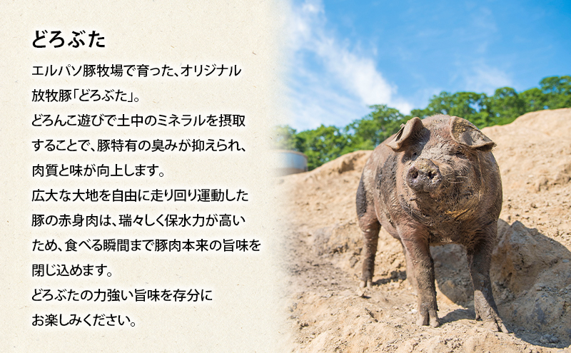 蛹玲オキ驕 蜊∝享 蟷募挨縺ョ繝悶Λ繝ウ繝画叛迚ァ雎 鬟溘∋豈斐∋螳壽悄萓ソ [縺励c縺カ縺励c縺カ/蜈ィ3蝗枉 縺ゥ繧阪カ縺溘サ繝槭Φ繧ャ繝ェ繝繝繧。雎壹サ驕翫カ縺溘 雎 雎夊i 繝悶Λ繝ウ繝 謾セ迚ァ 縺励c縺カ縺励c縺カ 阮蛻繧 繧ケ繝ゥ繧、繧ケ 繝ュ繝シ繧ケ 繝舌Λ 蜀キ蜃 隧ー蜷医○ 蟷募挨 縲