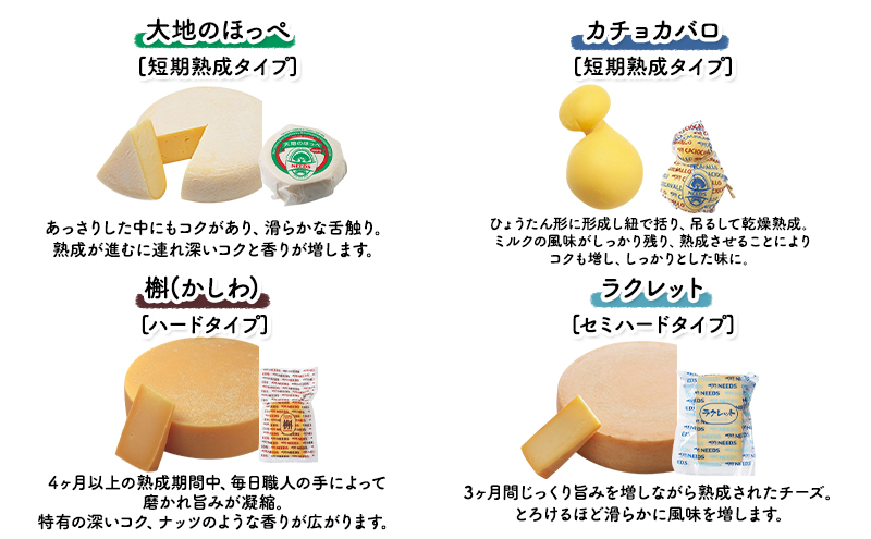 北海道 十勝 チーズアソート11種 / プレミアム食べ比べセット 2回定期便(2ヶ月ごと)[チーズ工房NEEDS]【 隔月 槲 ラクレット モッツァレラ 大地のほっぺ さけるチーズ ミルクジャム 】