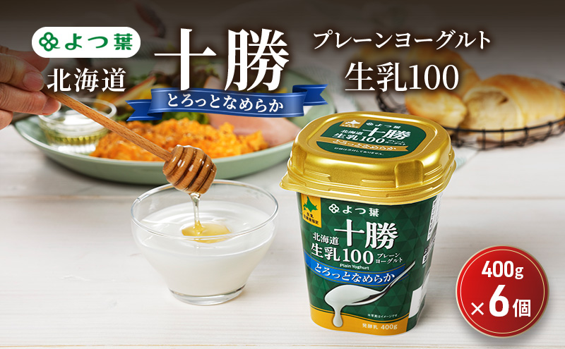 よつ葉 「北海道十勝プレーンヨーグルト 生乳100 とろっとなめらか」400g×6【 よつ葉 北海道十勝プレーンヨーグルト 生乳100％ タンパク質 菌 効果 腸活 レシピ 食べ方 アレンジ 水切り はちみつ 違い やわらか 北海道 十勝 幕別 】