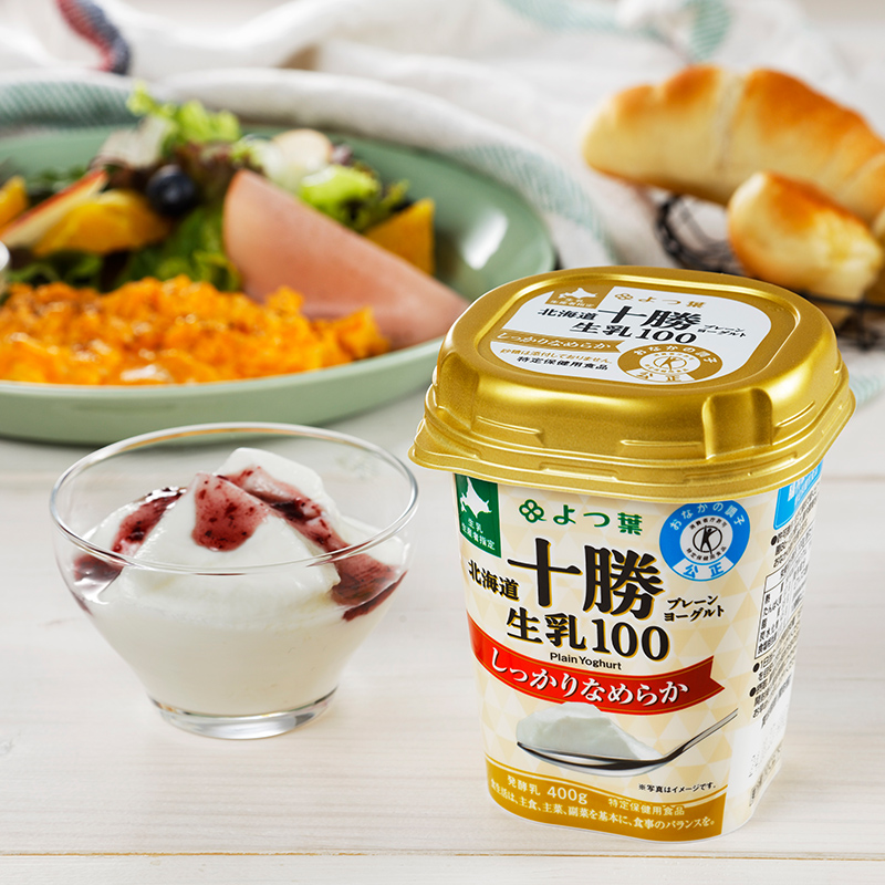 よつ葉 「北海道十勝プレーンヨーグルト 生乳100 しっかりなめらか・とろっとなめらか」6個セット 400g×各3【 よつ葉 北海道十勝プレーンヨーグルト 生乳100％ タンパク質 菌 効果 腸活 レシピ アレンジ 水切り はちみつ  やわらか 北海道 十勝 幕別 】