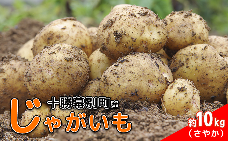 先行予約/2026年秋発送 北海道 十勝 幕別産 じゃがいも さやか 約10kg 【横山農園】 野菜 根菜 食材 しっとり 崩れにくい 煮込み料理 炒め物 肉じゃが カレー シチュー 北海道のジャガイモ