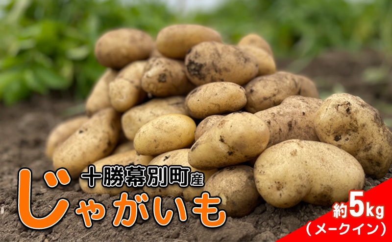 先行予約/2026年秋発送 北海道 十勝 幕別産 じゃがいも メークイン 約5kg 【横山農園】 野菜 根菜 食材 しっとり 崩れにくい 煮込み料理 炒め物 肉じゃが カレー シチュー 北海道のジャガイモ