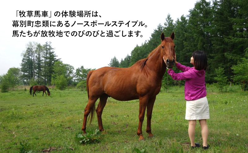 【北海道 十勝 幕別町 】十勝開拓の礎 牧草馬車にゆられて［ ペア チケット ］【 牧場 見学 ツアー 体験型 旅 旅行 イベント 夏休み 自由研究 移住 自然 放牧 ガイド 北海道 十勝 幕別 】