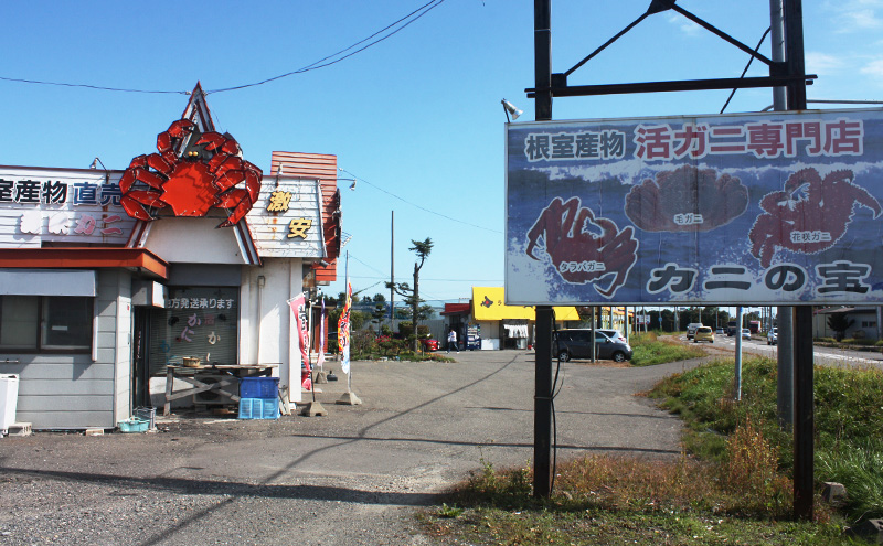［冷蔵便］茹でたて直送！北海道産 または ロシア産 朝茹で毛ガニ 約600g×1尾【 かに カニ 蟹 幕別町 北海道 毛蟹 毛ガニ 海鮮 魚介 海の幸 海産物 冷蔵 】