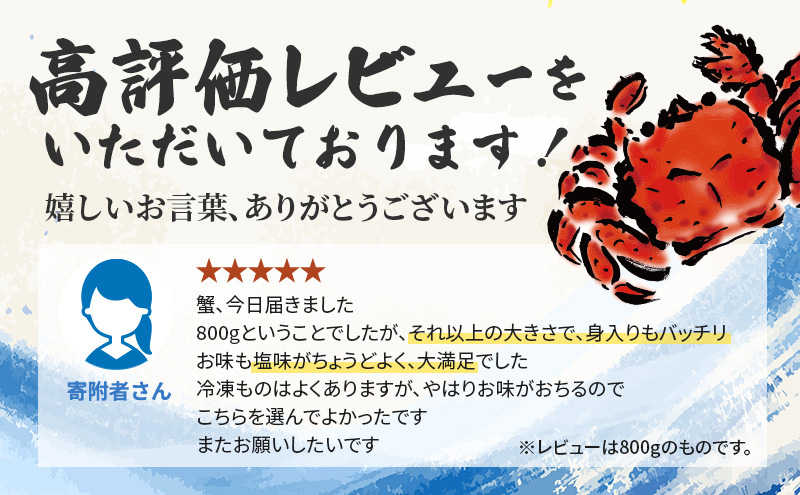 ［冷蔵便］茹でたて直送！北海道産 または ロシア産 朝茹で毛ガニ 約600g×1尾【 かに カニ 蟹 幕別町 北海道 毛蟹 毛ガニ 海鮮 魚介 海の幸 海産物 冷蔵 】