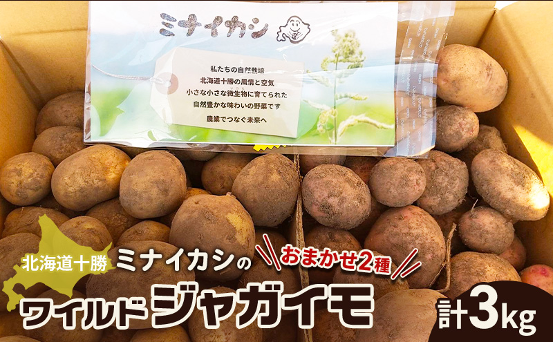 北海道十勝 ミナイカシのワイルドジャガイモおまかせ2種 計3kg 【栽培期間中農薬不使用】自然栽培 じゃがいも【 芋 いも ジャガイモ 野菜 食品 人気 産直 産地直送 北海道 幕別 】