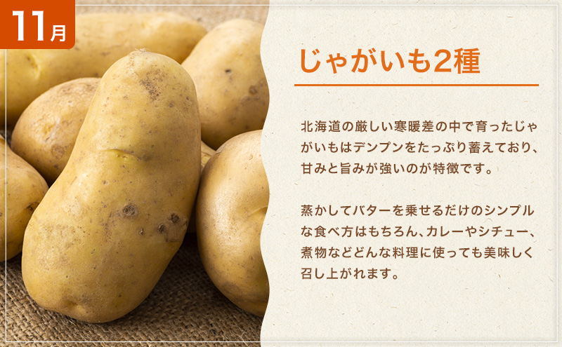 十勝幕別の定期便 旬野菜 年4回お届け（長いも・アスパラガス・とうもろこし・じゃがいも）【 長芋 アスパラ コーン いも ジャガイモ 産地直送 定期便 北海道 十勝 幕別 】