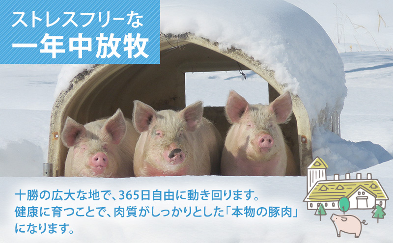 北海道十勝の放牧豚”遊ぶた”角切り1.2kgカレー・シチュー用セット お肉 豚肉 モモ 