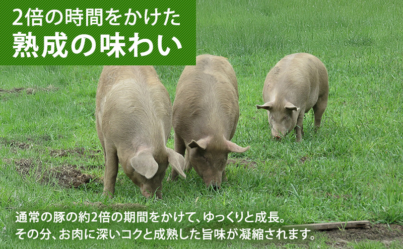 北海道十勝の放牧豚”遊ぶた”角切り1.2kgカレー・シチュー用セット お肉 豚肉 モモ 