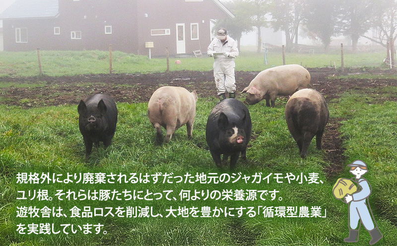 北海道十勝の放牧豚”遊ぶた”角切り1.2kgカレー・シチュー用セット お肉 豚肉 モモ 