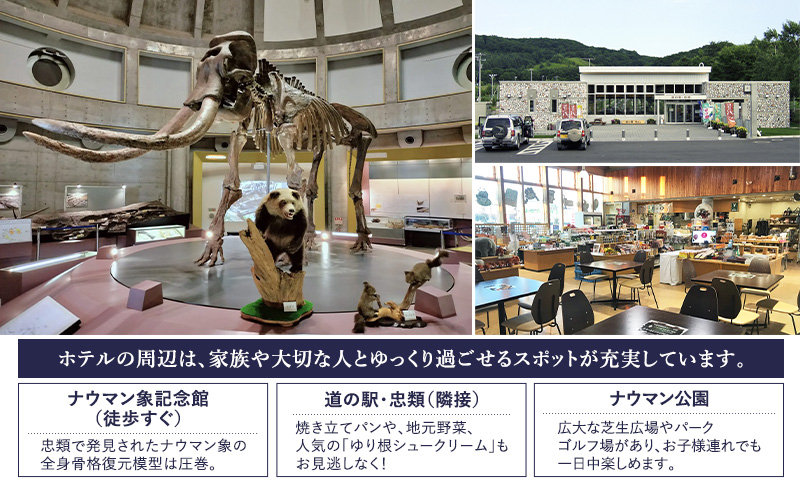 【平日限定】十勝ナウマン温泉 ホテルアルコ 一泊二食宿泊券 グレードアップ 1名様分【 北海道 幕別町 十勝 ナウマン温泉 ホテルアルコ 宿泊券 1名 平日限定 一泊二食 豪華 グレードアップ 温泉 】