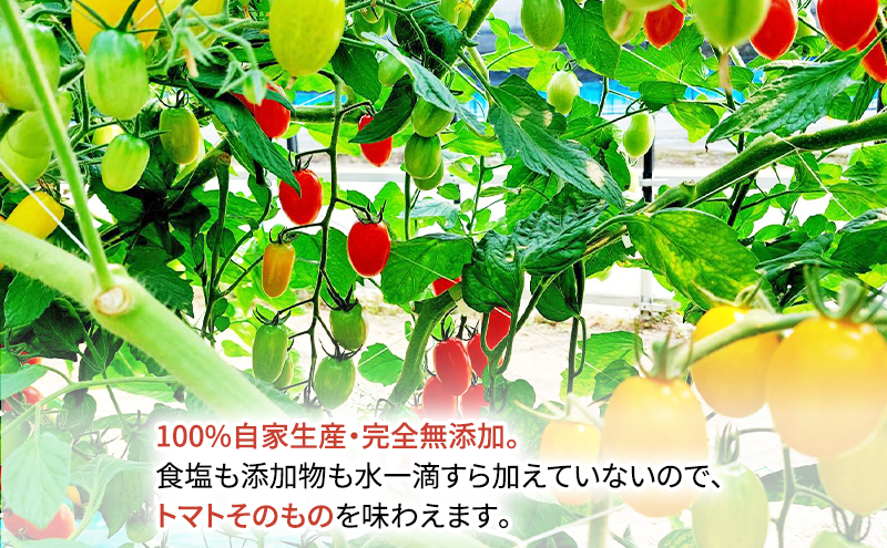 糖度平均9～10度！十勝 幕別産 ミニトマトジュース「自慢のトマトでつくりました。」赤180ml×6本［北海道ホープランド農場］食塩無添加【 トマト ミニトマト 飲料 野菜ジュース リコピン 北海道 十勝 幕別 】