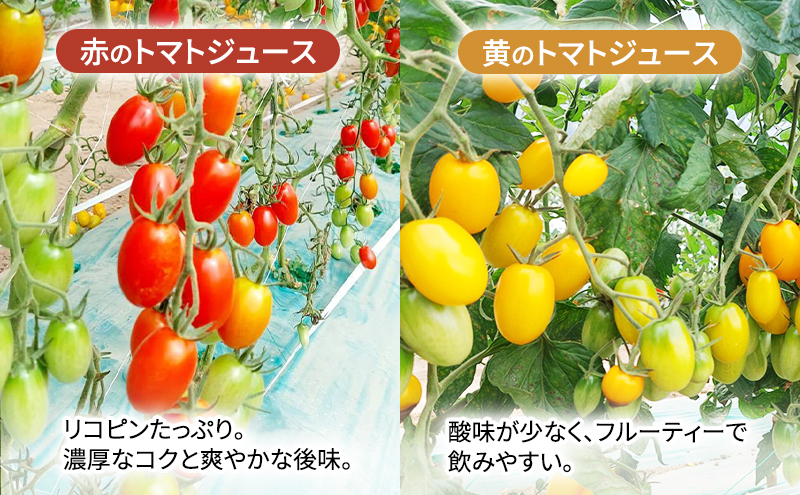 糖度平均9～10度！十勝 幕別産 ミニトマトジュース「自慢のトマトでつくりました。」赤180ml×6本［北海道ホープランド農場］食塩無添加【 トマト ミニトマト 飲料 野菜ジュース リコピン 北海道 十勝 幕別 】