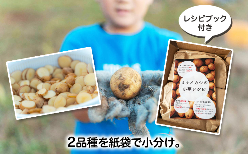 北海道十勝 ミナイカシのワイルドジャガイモおまかせ2種 計3kg 【栽培期間中農薬不使用】自然栽培 じゃがいも【 芋 いも ジャガイモ 野菜 食品 人気 産直 産地直送 北海道 幕別 】
