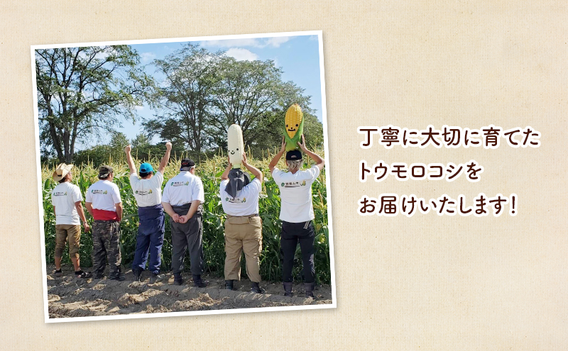 北海道 幕別町産 中山農園 朝どれ とうもろこし 3種 15本 [ 北海道産 スイートコーン 野菜  十勝 幕別 新鮮 テレビで紹介 ] 