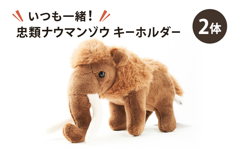 [北海道 幕別町]いつも一緒！忠類ナウマンゾウ キーホルダー2体 [道の駅忠類]【 キーホルダー ぬいぐるみ おもちゃ ふわふわ もこもこ ギフト プレゼント 十勝 】
