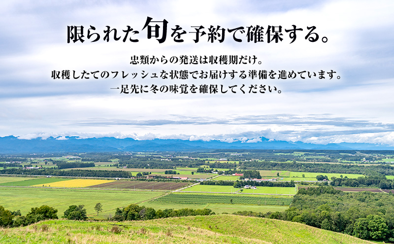2026年12月発送 先行予約 十勝「忠類長いも」10kg (10～16本) L～2L