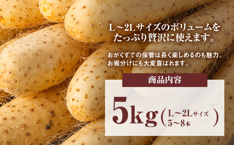 2026幎12æçºé å
è¡äºçŽ ååãå¿ é¡é·ããã5kg (5ïœ8æ¬) Lïœ2LJAå¿ é¡ïŒœã é·è ãªããã å±±è è ãšãã éè æ ¹è ç£å°çŽé èŽç ã®ããåæµ·é å¹å¥ ã