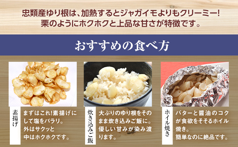 2026年10月発送 先行予約 十勝「忠類ゆり根」1kg (7～12玉) M～2L［JA忠類］【 ゆり根 百合根 高級食材 お正月 贈答 ギフト 根菜 冬の味覚 北海道 幕別 】