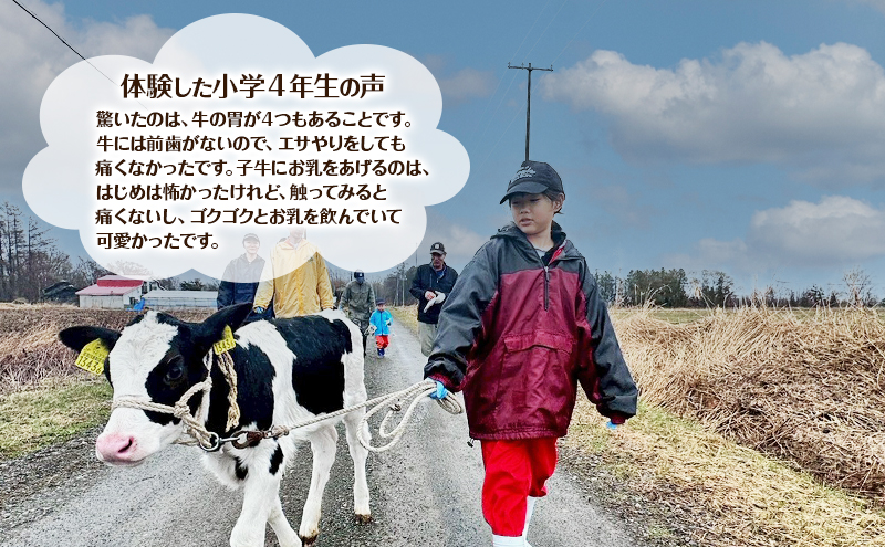 酪農体験チケット 大人2名 【 体験チケット 酪農 北海道 幕別町 牛 搾乳 牧場 自然 】