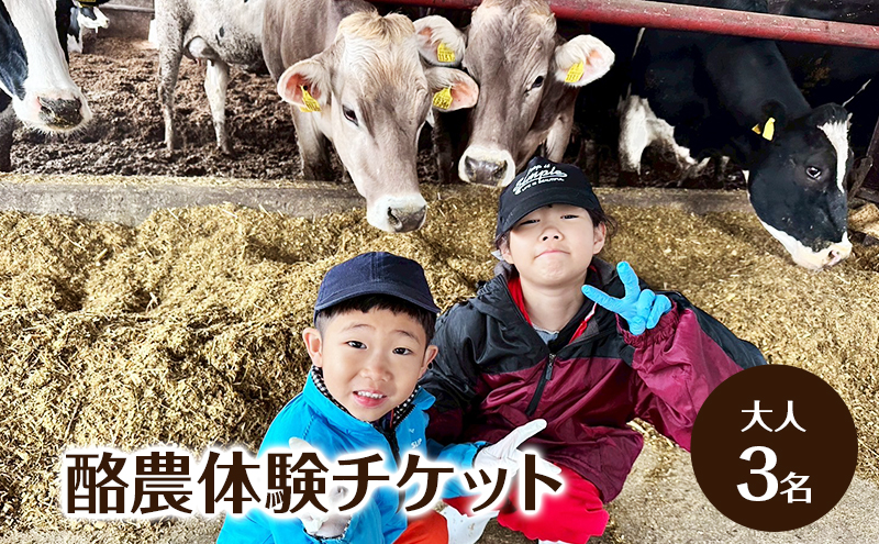 酪農体験チケット 大人3名 【 体験チケット 酪農 北海道 幕別町 牛 搾乳 牧場 自然 】