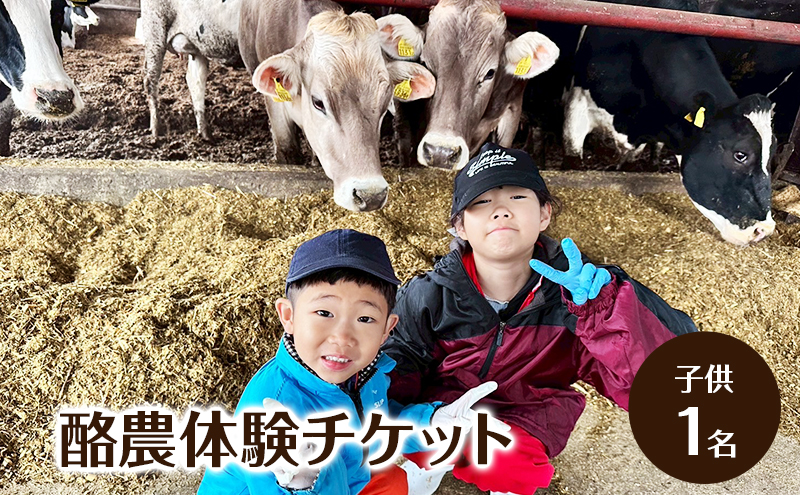 酪農体験チケット 子供1名 【 体験チケット 酪農 北海道 幕別町 牛 搾乳 牧場 自然 】