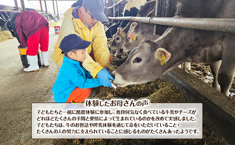 酪農体験チケット 子供3名 【 体験チケット 酪農 北海道 幕別町 牛 搾乳 牧場 自然 】