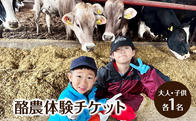 酪農体験チケット 大人・子供 各1名 【 体験チケット 酪農 北海道 幕別町 牛 搾乳 牧場 自然 】