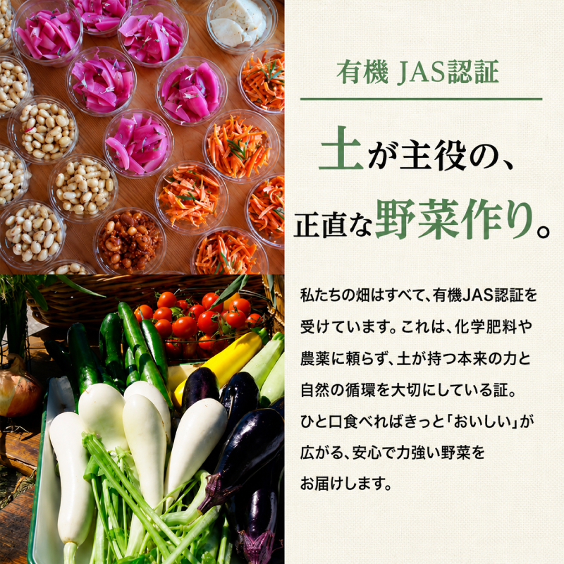 小笠原農園の有機野菜 4種詰合せ（とうや1kg・北海こがね1kg・玉ねぎ1kg・リーキ1kg）北海道 十勝 幕別《2026年秋出荷先行予約》【 野菜 芋 じゃがいも とうや 北海こがね 玉ねぎ たまねぎ セット 】