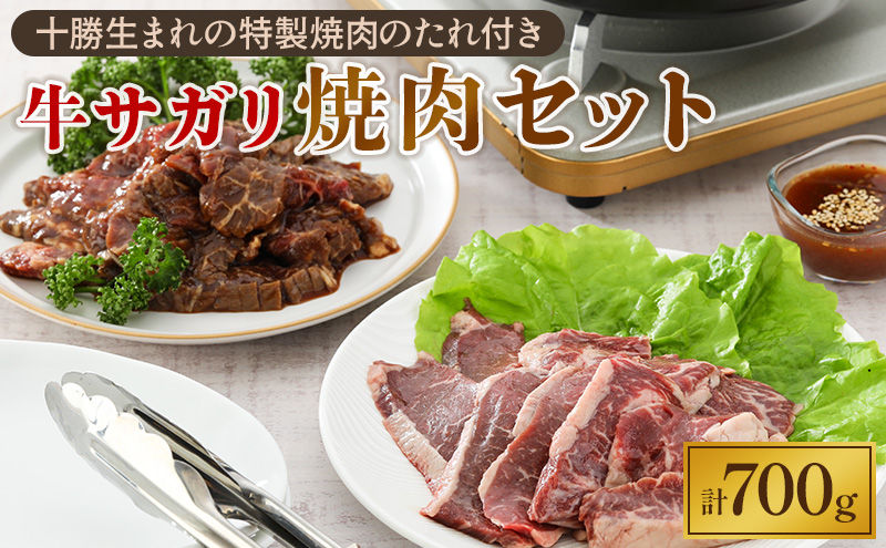 牛上ハラミ（サガリ）700g タレ付き焼肉セット【 牛肉 豚肉 焼き肉 惣菜 冷凍 北海道 十勝 幕別 ふるさと納税 送料無料 】