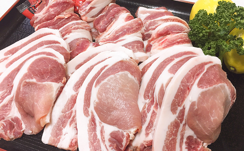 åæµ·éããŒã¯ ååè±äžŒ 8人åã»ããã è± ãã¿ è±è åœç£è± åœç£ åæµ·é åå å¹å¥ ãµãããšçŽçš éæç¡æ ã ãè çè ããŒã¹ ãã©