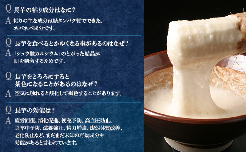 北海道 十勝の大地が育てたシャキシャキ食感と強い粘り 幕別産 長いも Lサイズ 10kg［木川商店］【 長いも 長芋 ながいも ナガイモ とろろ 芋 いも 野菜 10kg 5kg  産地直送 旬 濃厚 北海道 十勝 幕別 】 