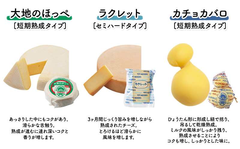 北海道 十勝 チーズアソート7種B / ラクレット入り バラエティセット 6回定期便（偶数月お届け）[チーズ工房NEEDS]【 定期便 頒布会 隔月 チーズ アソート 詰合せ セット ラクレット モッツァレラ 大地のほっぺ さけるチーズ NEEDS】
