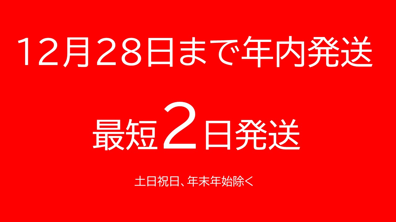 12/28申込分まで年内発送 清見2022 マグナム6本 9L 最短申込みから2日発送 北海道ワイン 北海道池田町 十勝ワイン