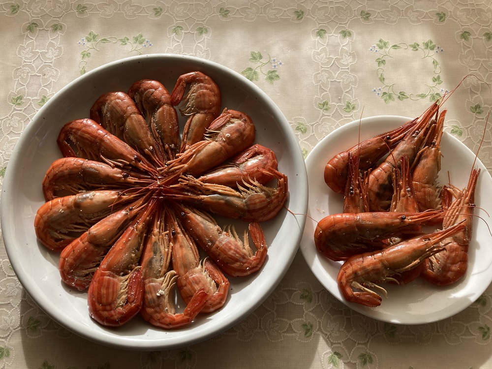 新物 北海縞海老 シマエビ 北海縞えび  国産 500g 40～44尾 しまえび 冷凍 えび エビ ボイル済み Sサイズ 