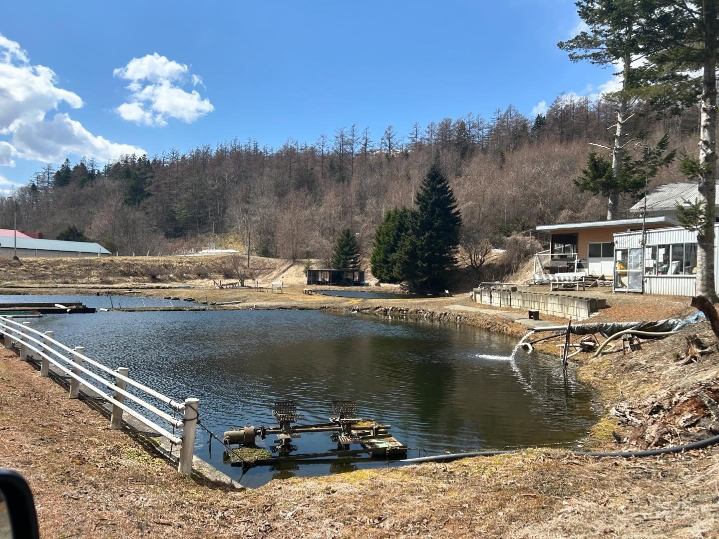 釣り堀チケット（子ども1名）釣り餌付 竿付き ドナルドサーモン 持ち帰り 1時間釣り放題 内臓処理対応 BBQ無料 エサ付 釣り体験