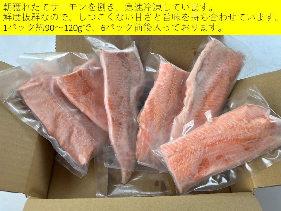 北海道 国産ドナルドサーモン(生食用) 800g  鮭 サーモン 人気サーモン サケ 国産サーモン 国産鮭