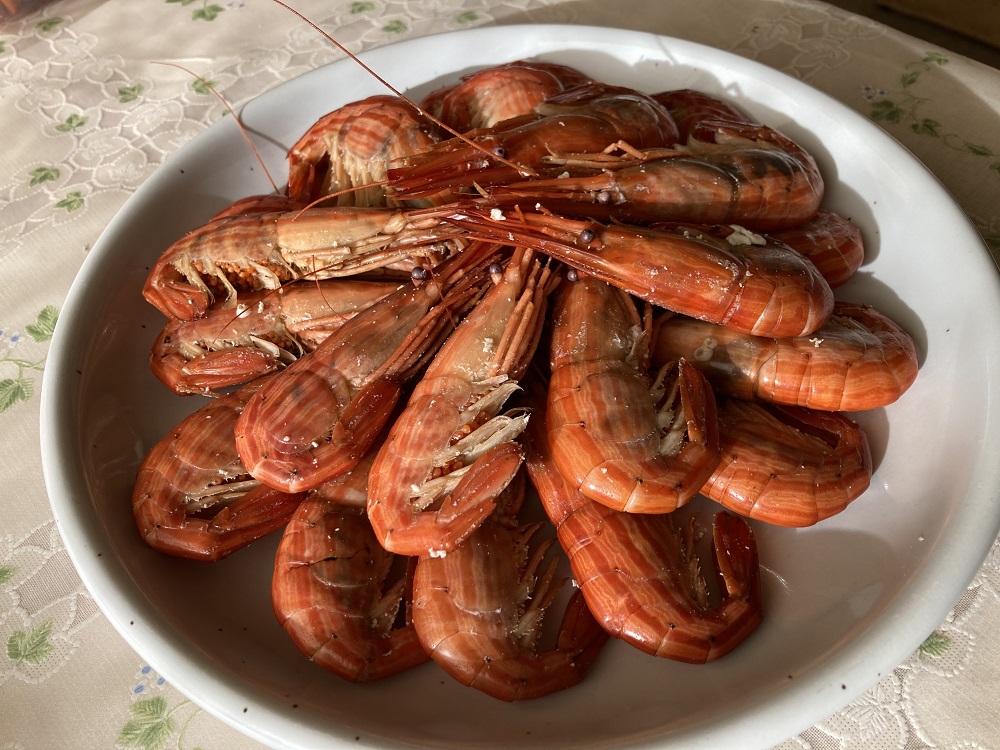 新物 北海縞海老 シマエビ 北海縞えび  国産 500g 40～44尾 しまえび 冷凍 えび エビ ボイル済み Sサイズ 