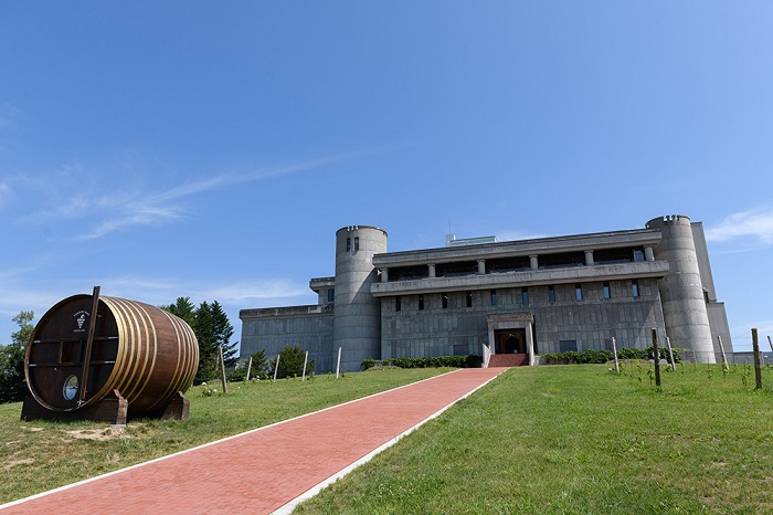 山幸 2本 赤ワイン 受賞歴多数 北海道ワイン テレ朝「朝だ！生です旅サラダ」で紹介されました OIV登録（国際ワイン・ブドウ機構） ワイン 世界が認めるワイン