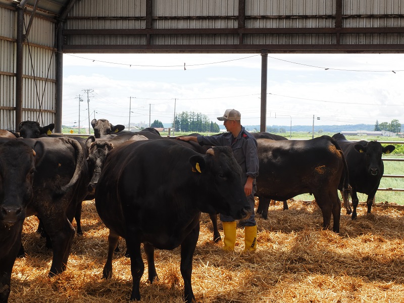 黒毛和牛 ステーキ 極上サーロイン2340ｇ（180ｇ×13枚）ブランド牛 十勝ワインビーフ 国産牛 北海道牛 増量中 