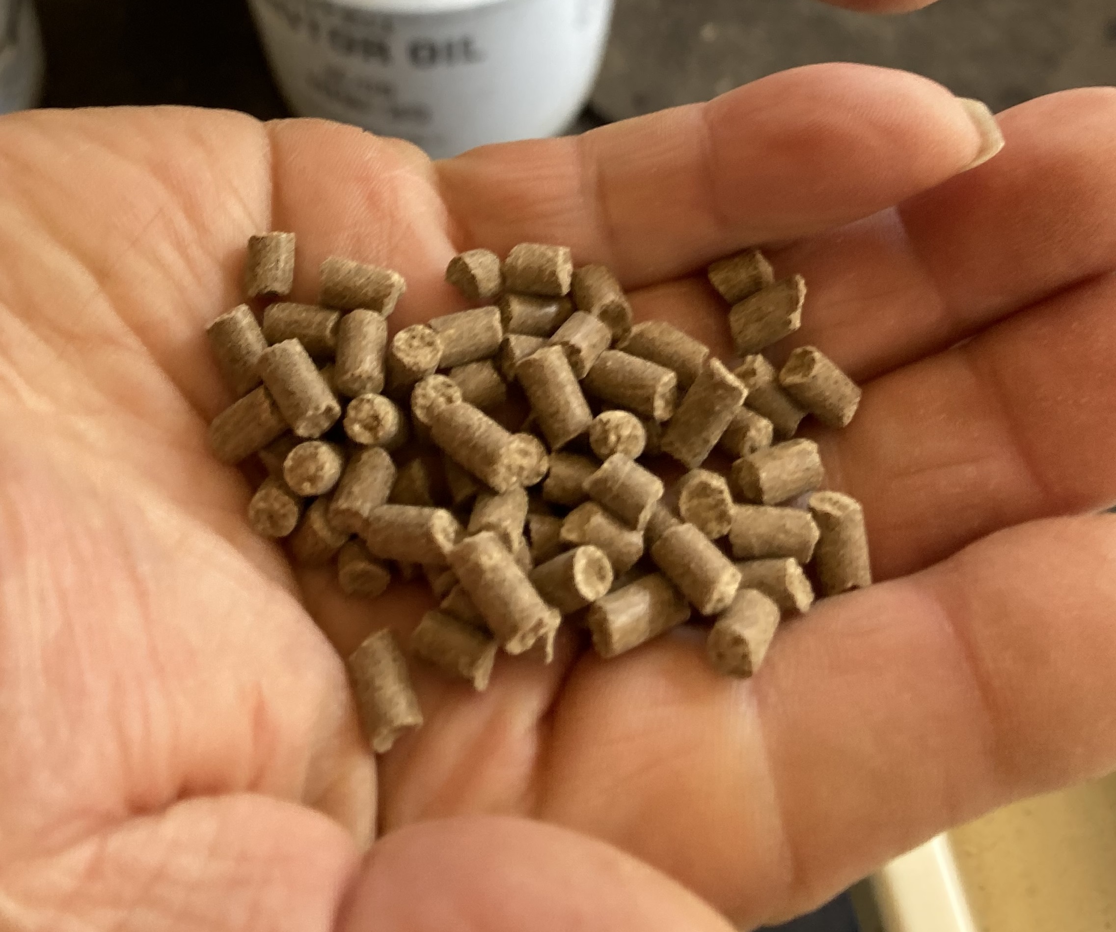 釣り堀チケット（中高生1名）釣り餌付 竿付き ドナルドサーモン 持ち帰り 1時間釣り放題 内臓処理対応 BBQ無料 エサ付 釣り体験