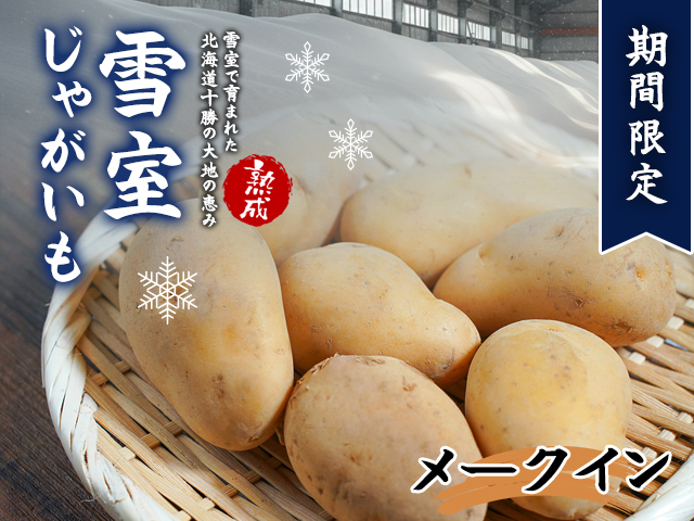 北海道産 熟成じゃがいも メークイン4㎏ 期間限定 雪室貯蔵 十勝産 ジャガイモ じゃが芋 いも 甘い