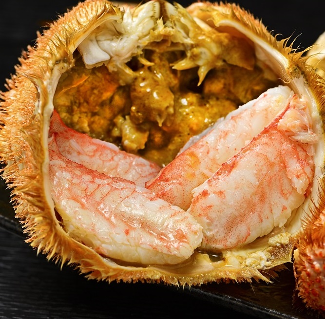 活ゆで毛蟹（2尾）計1050～1100g【冷蔵】毛ガニ 毛かに 国産 北海道産