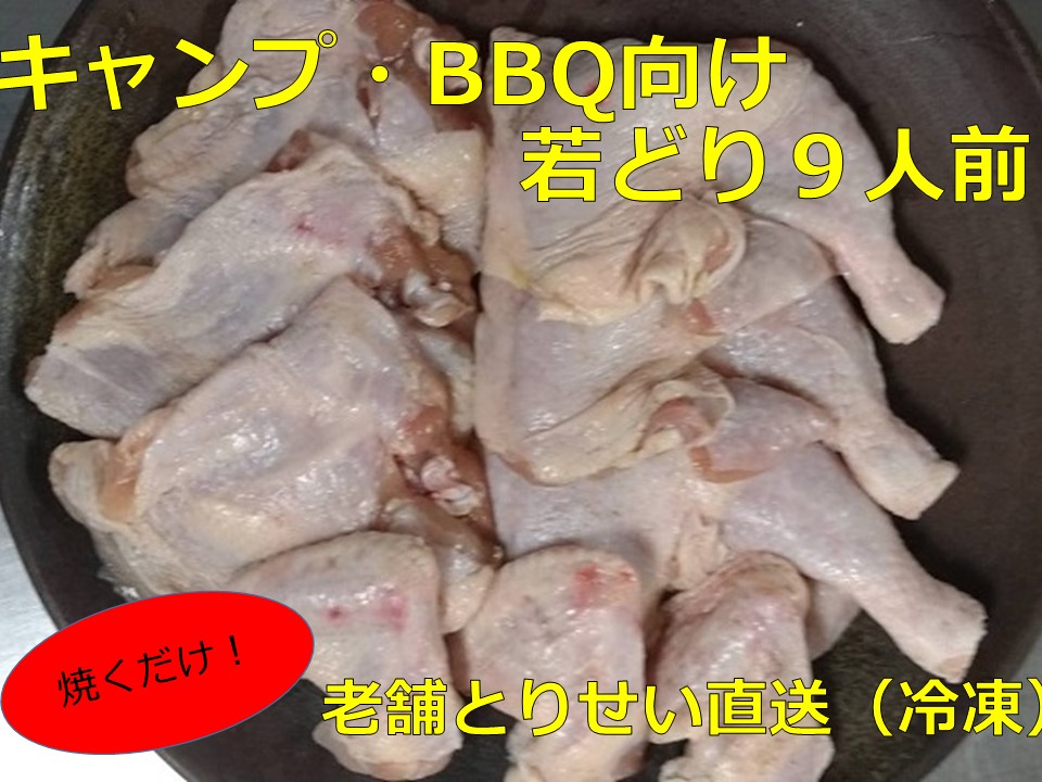 とりせい　味付き若どり　9人前セット(冷凍)　　アウトドア・キャンプ・バーベキュー