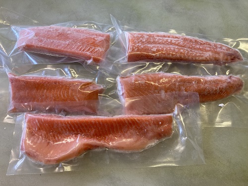 北海道 国産ドナルドサーモン(生食用) 800g  鮭 サーモン 人気サーモン サケ 国産サーモン 国産鮭