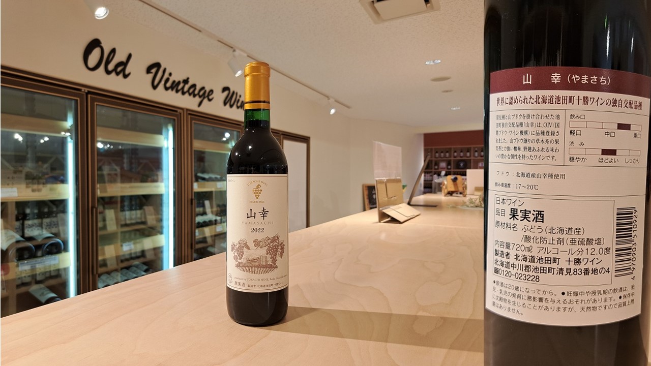 【厳選赤ワイン】十勝ワイン6本セレクション 北海道池田町 赤ワイン 本格派 十勝ワイン ビンテージ 赤ワインセット