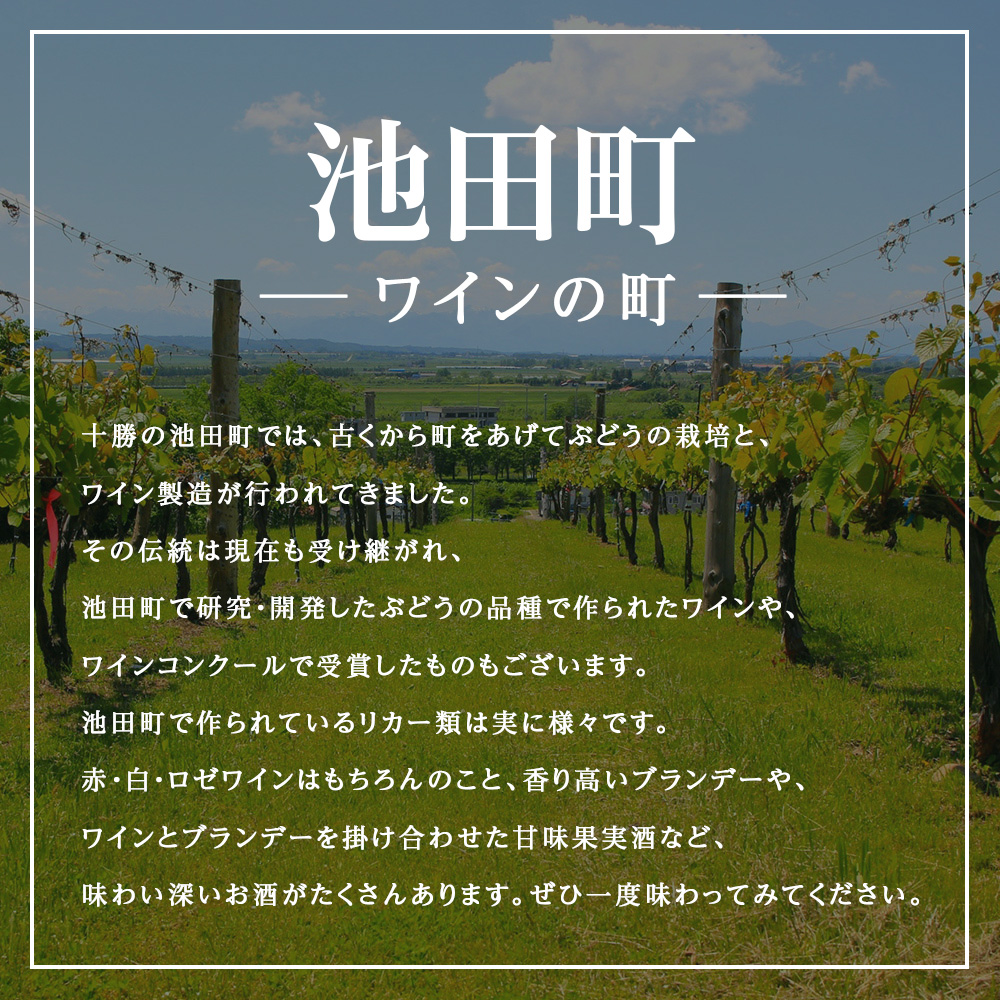 蜊∝享繝ッ繧、繝ウ 繝繝舌う繧イ繝ォ繝 1996 繧ェ繝シ繝ォ繝峨ン繝ウ繝繝シ繧ク 720ml 蛹玲オキ驕捺ア逕ー逕コ 繝薙Φ繝繝シ繧ク 襍、繝ッ繧、繝ウ 謨ー驥城剞螳 繝エ繧」繝ウ繝繝シ繧ク