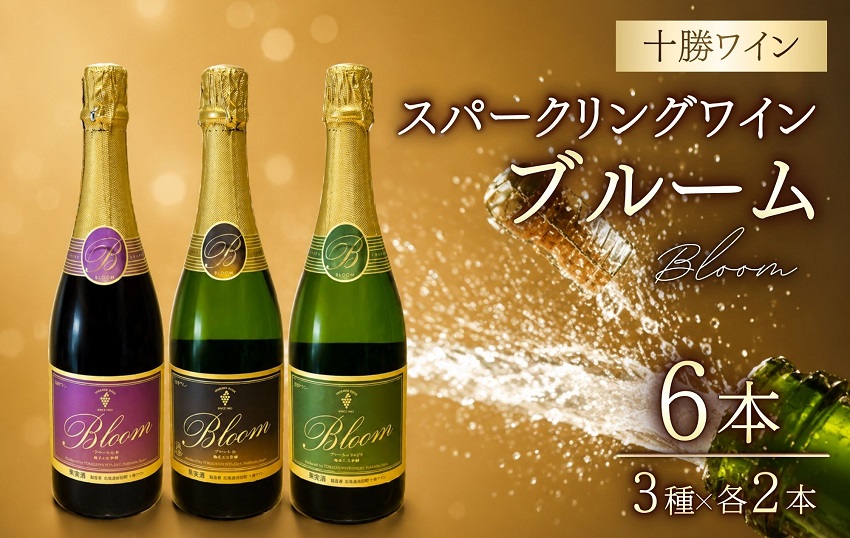 十勝ワイン スパークリングワイン 辛口 3種×2本 計6本 泡 本格製法 ギフト お祝い シャンパン