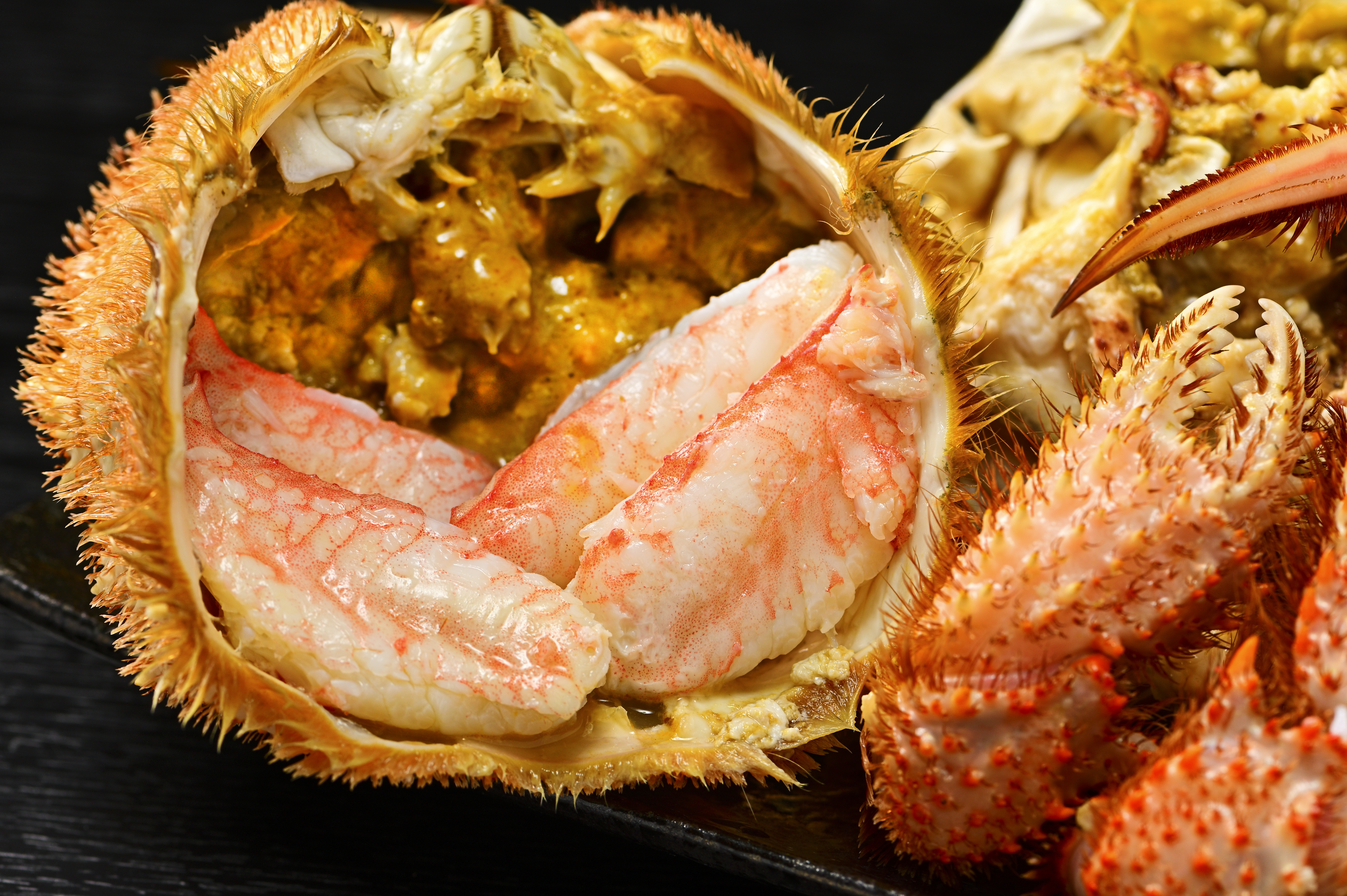 活ゆで毛蟹（2尾）計700～770g【冷凍】毛ガニ 毛かに 国産 北海道産 かに 蟹